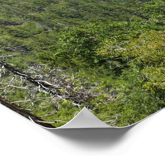 Inspiration Point II ポスター (角)