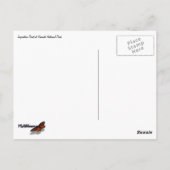 Inspiration Point II ポストカード (裏面)