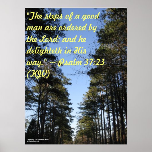 Inspirational Bible verse poster - Psalm 37:23 ポスター (正面)