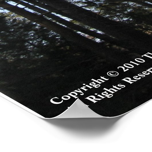 Inspirational Bible verse poster - Psalm 37:23 ポスター (角)