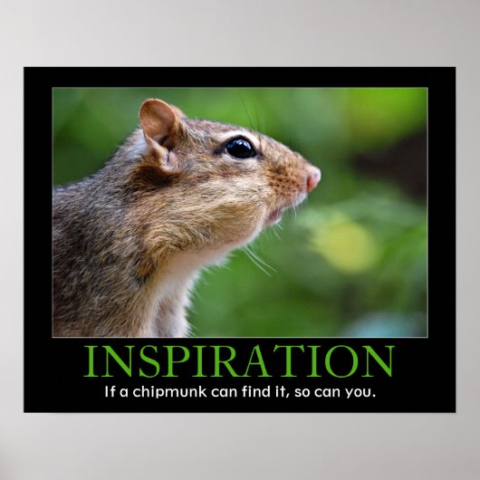 Inspirational Chipmunk ポスター (正面)