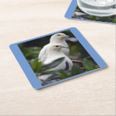 Inspiring  スクエアペーパーコースター (アングル)