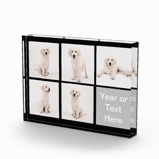 Instagramの写真家族犬猫の写真を作成して下さい フォトブロック (右)