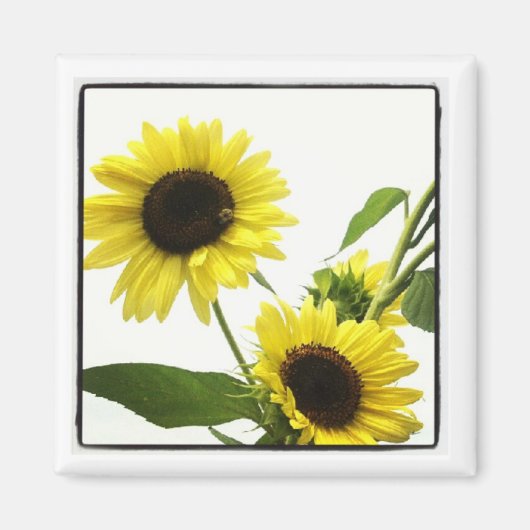 instagramフォト磁石 マグネット (正面)