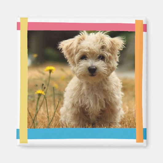 instagramフォト磁石 マグネット (正面)