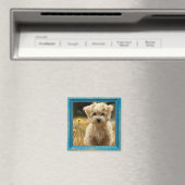 instagramフォト磁石 マグネット (インサイチュ (食洗機))