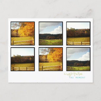 Instagram写真ポストカード ポストカード