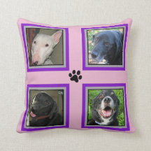 Instagram 4写真ペット家族紫色のフレームピンク