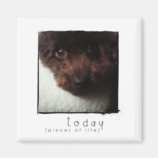 instagram friend photomagnet マグネット (正面)