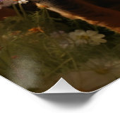 Installation Art Dachshund草原を探索 ポスター (コーナー)