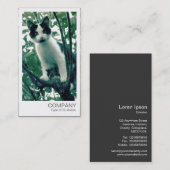 Instant Photo - Kitten in an Apple Tree 名刺 (正面/裏面)