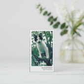 Instant Photo - Kitten in an Apple Tree 名刺 (スタンド正面)