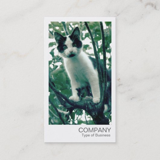 Instant Photo - Kitten in an Apple Tree 名刺 (正面)