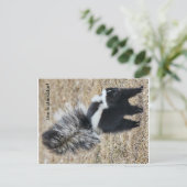 Instinkator Skunkはがき ポストカード (スタンド正面)