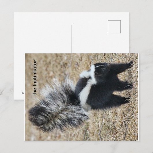 Instinkator Skunkはがき ポストカード (正面/裏面)