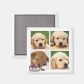 instram犬の写真磁石 マグネット (正面/裏面)