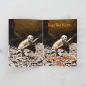 Insy WinsyのベビーMeerkat、誕生日 カード (内部)