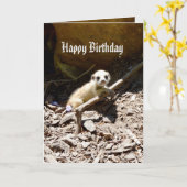 Insy WinsyのベビーMeerkat、誕生日 カード (黄色い花)