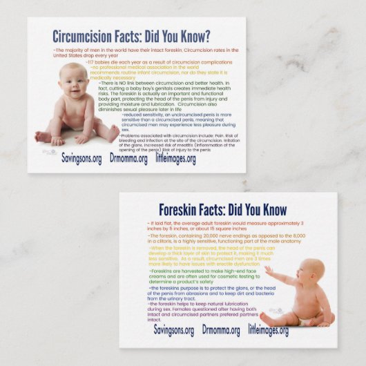 Intactivism情報カード 名刺 (正面/裏面)