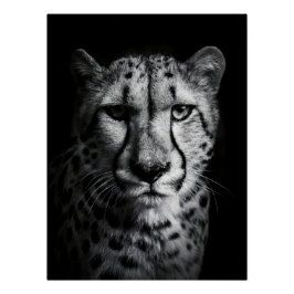 Intense Black and White Cheetah Portrait ポスター
