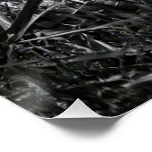  Intense Black & White King Cobra Fine Art Print | ポスター (コーナー)