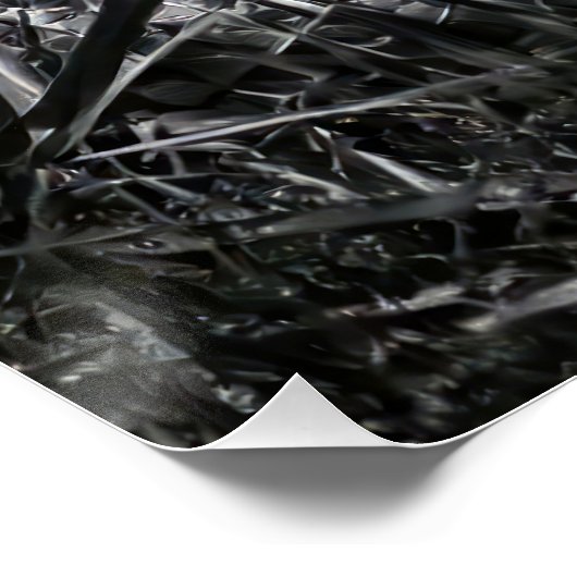 Intense Black & White King Cobra Fine Art Print | ポスター (コーナー)