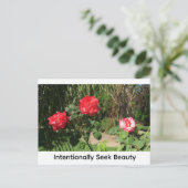 Intentionally Seek Beauty ポストカード (スタンド正面)