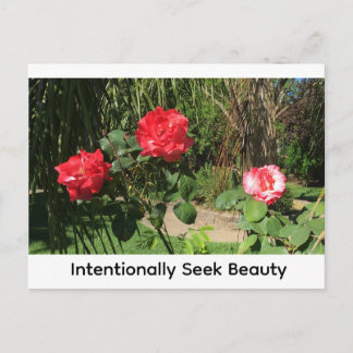 Intentionally Seek Beauty ポストカード