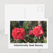 Intentionally Seek Beauty ポストカード (正面/裏面)