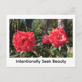 Intentionally Seek Beauty ポストカード