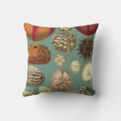 Intestinaと軟体動物門Linnaei クッション (裏面)