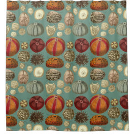 Intestinaと軟体動物門Linnaei シャワーカーテン