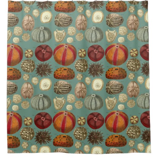 Intestinaと軟体動物門Linnaei シャワーカーテン (正面)