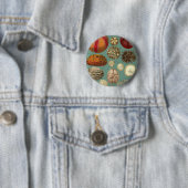 Intestinaと軟体動物門Linnaei 缶バッジ (インサイチュ)