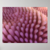 Intestinal Villi ポスター (正面)