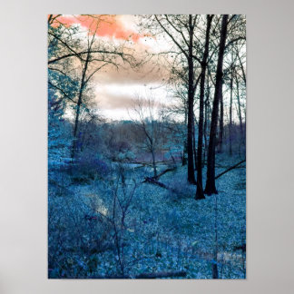 Into The Woods ポスター