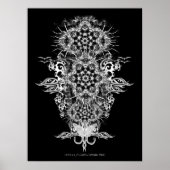 INTRAKiZIポスター ポスター (正面)