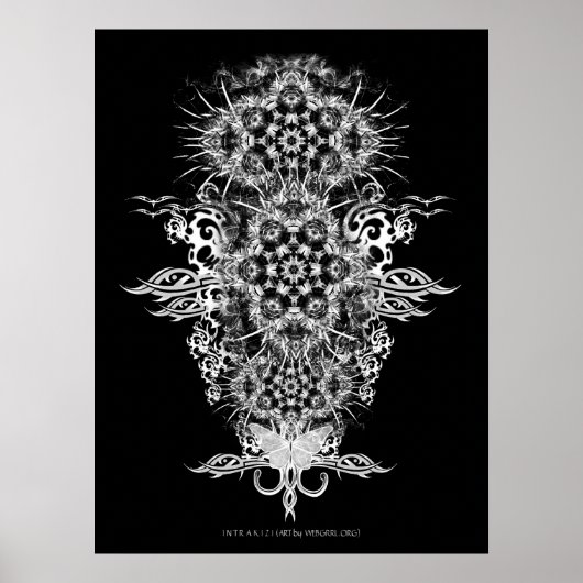 INTRAKiZIポスター ポスター (正面)