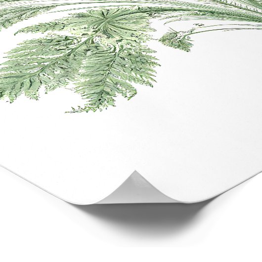 Intricate Botanical Symmetry: Fractal Flora ポスター (角)