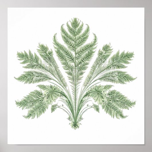 Intricate Botanical Symmetry: Fractal Flora ポスター (正面)