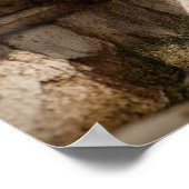 Intricate Details of Ancient Roman Fountain Sculpt ポスター (角)