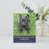 「Introducing 」 New Dog Announcement ポストカード (スタンド正面)