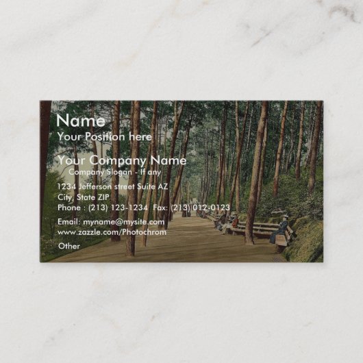 Invalidsの歩行、ボーンマス、イギリスのヴィンテージの写真 名刺 (正面)