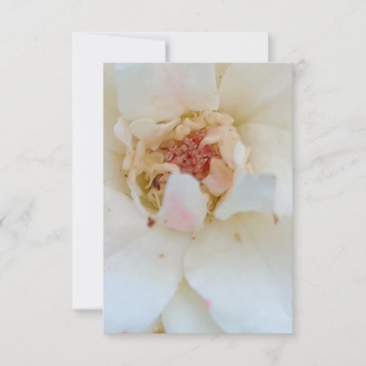 Inventions card サンキューカード (正面)