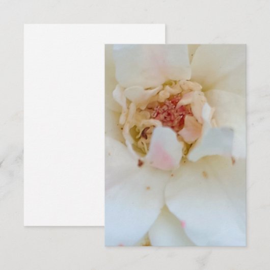 Inventions card サンキューカード (正面/裏面)