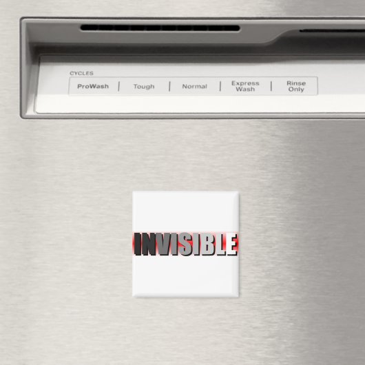 invisible マグネット (インサイチュ (食洗機))