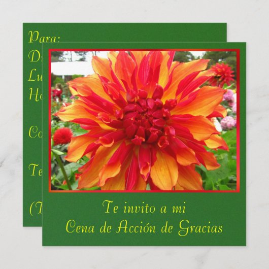 Invitación - Cena de Accionn de Gracias 招待状 (正面/裏面)