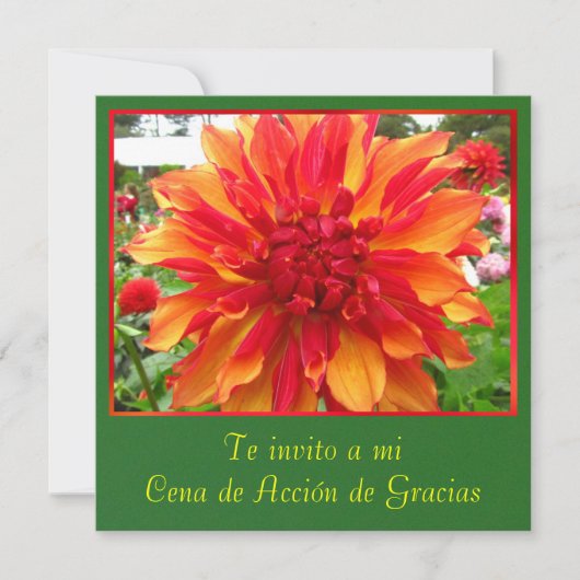 Invitación - Cena de Accionn de Gracias 招待状 (正面)