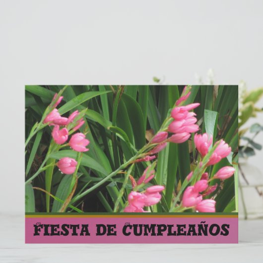 Invitación - Fiesta de Cumpleanoss 招待状 (スタンド正面)