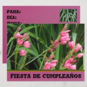 Invitación - Fiesta de Cumpleanoss 招待状 (正面/裏面)